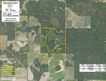218 PINELANDS TRACT LAYOUT LL IMAGE geoenabled Thumbnail
