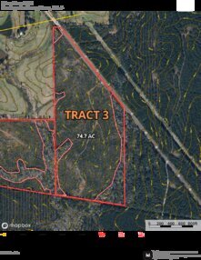 220 Clear Branch T3 Thumbnail