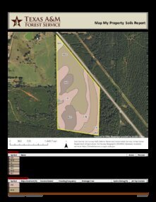 225 clear branch T3 Soils 01 08 2026 060154 Thumbnail