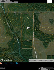 235 Barrow Forest T11 Thumbnail