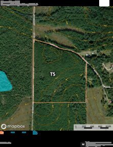 24 Barrow Forest T5 Thumbnail