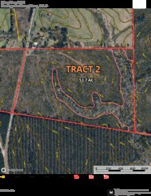 263 Clear Branch T2 Thumbnail