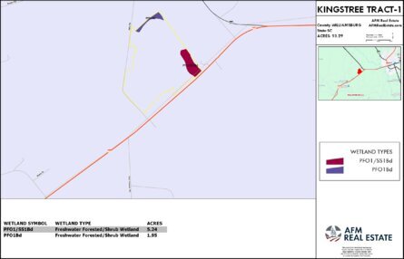 278 KINGSTREE TRACT 1 LAYOUT TL WETLAND Thumbnail