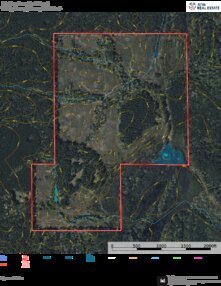 2 Carlton Longleaf Tract Aerial Topo Thumbnail