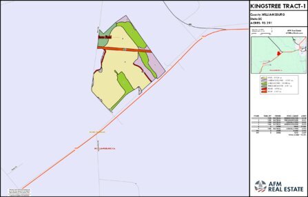 301 KINGSTREE TRACT 1 LAYOUT TL COLOR Thumbnail