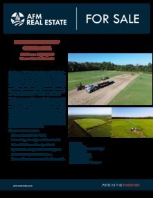 311 Southeastern Turf Flyer Thumbnail