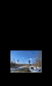 315 Appraisal Thumbnail