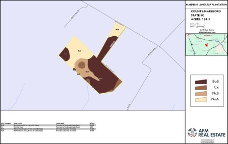 333 MANNING LONGLEAF PLANTATION LAYOUT TL SOIL Thumbnail