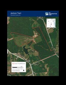 334 Jackson Tract Thumbnail