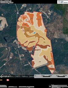 338 Suggs Parks Jones Soil Map Thumbnail