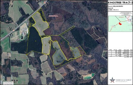 35 KINGSTREE TRACT 2 LAYOUT TL IMAGE Thumbnail