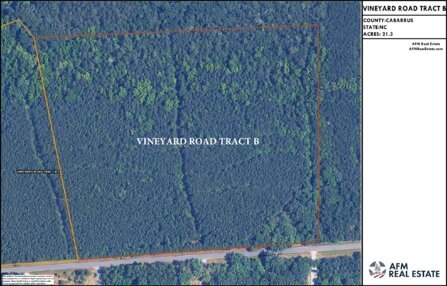 361 VINEYARD ROAD TRACT B LAYOUT TL IMAGE Thumbnail