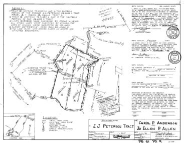 37 Carol Anderson Survey Thumbnail