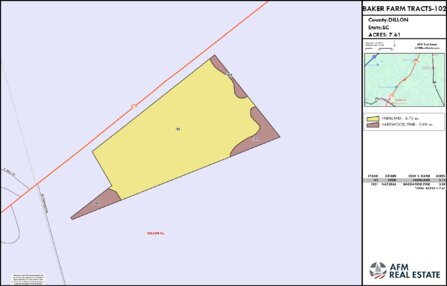 383 BAKER FARM TRACTS 102 LAYOUT TL COLOR Thumbnail