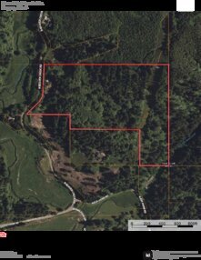 385 Photo Map Bernstein Thumbnail