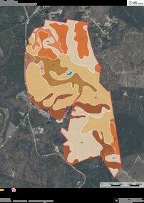 385 Suggs 590 Soil Map Thumbnail