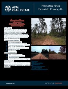 410 Flomaton Pines Escambia County AL Thumbnail