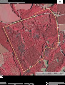 421 BEE FARM IR Thumbnail