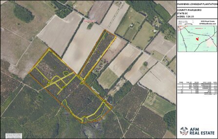 423 MANNING LONGLEAF PLANTATION LAYOUT TL NAIP2025 IMAGE Thumbnail