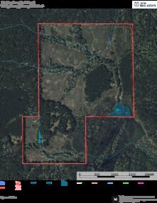 442 Carlton Longleaf Tract Aerial Thumbnail