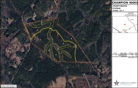 455 CHAMPION 40002 LAYOUT TL IMAGE Thumbnail