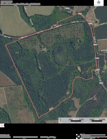 45 BEE FARM AERIAL Thumbnail