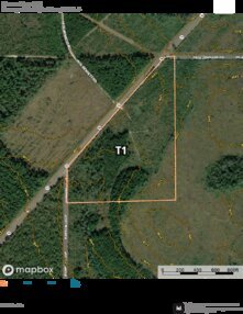 468 Barrow Forest T1 Thumbnail