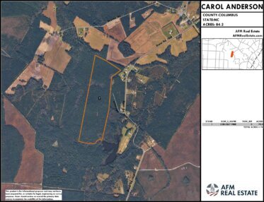 471 CAROL ANDERSON LAYOUT LL IMAGE Thumbnail