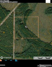 484 Barrow Forest T2 Thumbnail