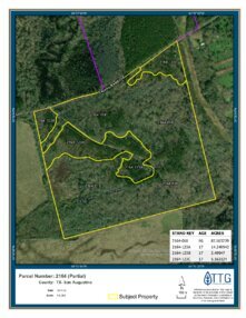 545 Timber Data New Hope Tract Thumbnail