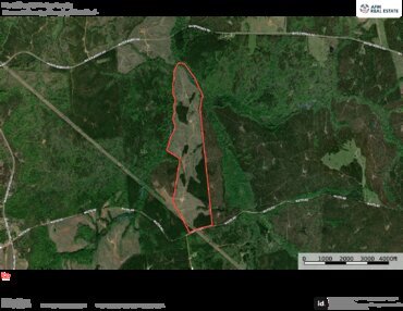 547 Fort Creek Timberlands Aerial Thumbnail