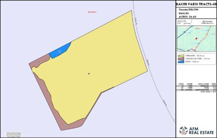 560 BAKER FARM TRACTS 48 LAYOUT TL COLOR Thumbnail