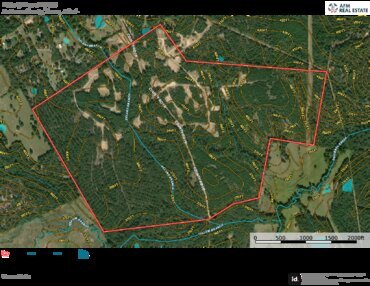 570 Delany Branch Aerial Topo Thumbnail