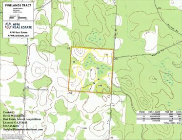 578 PINELANDS TRACT LAYOUT LL TOPO geoenabled Thumbnail