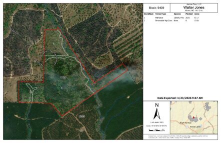 607 Walter Jones Tract Thumbnail