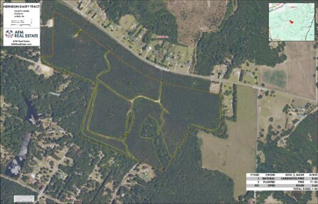 633 HERNDON DAIRY TRACT LAYOUT TL NAIP2025 IMAGE geoenabled Thumbnail