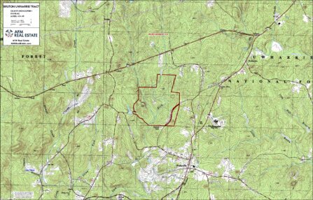 649 BRUTON UWHARRIE TRACT LAYOUT TL TOPO Thumbnail