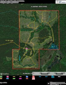 64 Carlton Longleaf Tract Rds Trails Aerial Thumbnail
