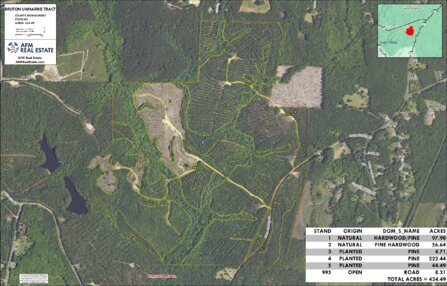 650 BRUTON UWHARRIE TRACT LAYOUT TL NAIP2024 IMAGE geoenabled Thumbnail
