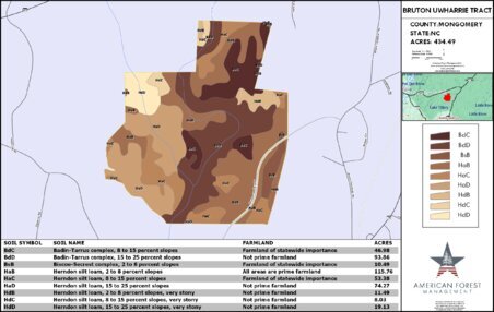 655 BRUTON UWHARRIE TRACT LAYOUT TL SOIL Thumbnail
