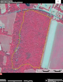 659 DANTZLER BEACH IR Thumbnail