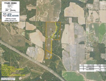 666 TYLER CREEK LAYOUT LL IMAGE geoenabled 1 Thumbnail