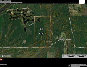 704 Forest River T15 Thumbnail