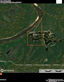 707 Forest River T17 Thumbnail