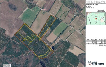 710 MANNING LONGLEAF PLANTATION LAYOUT TL GE IMAGE Thumbnail