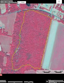 739 DANTZLER BEACH IR Thumbnail