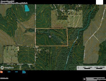 764 Barrow Forest T7 Thumbnail