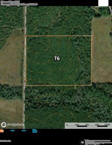 797 Barrow Forest T6 Thumbnail