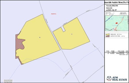 83 BAKER FARM TRACTS 72 LAYOUT TL COLOR Thumbnail