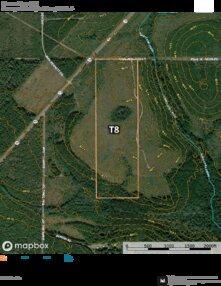 850 Barrow Forest T8 Thumbnail